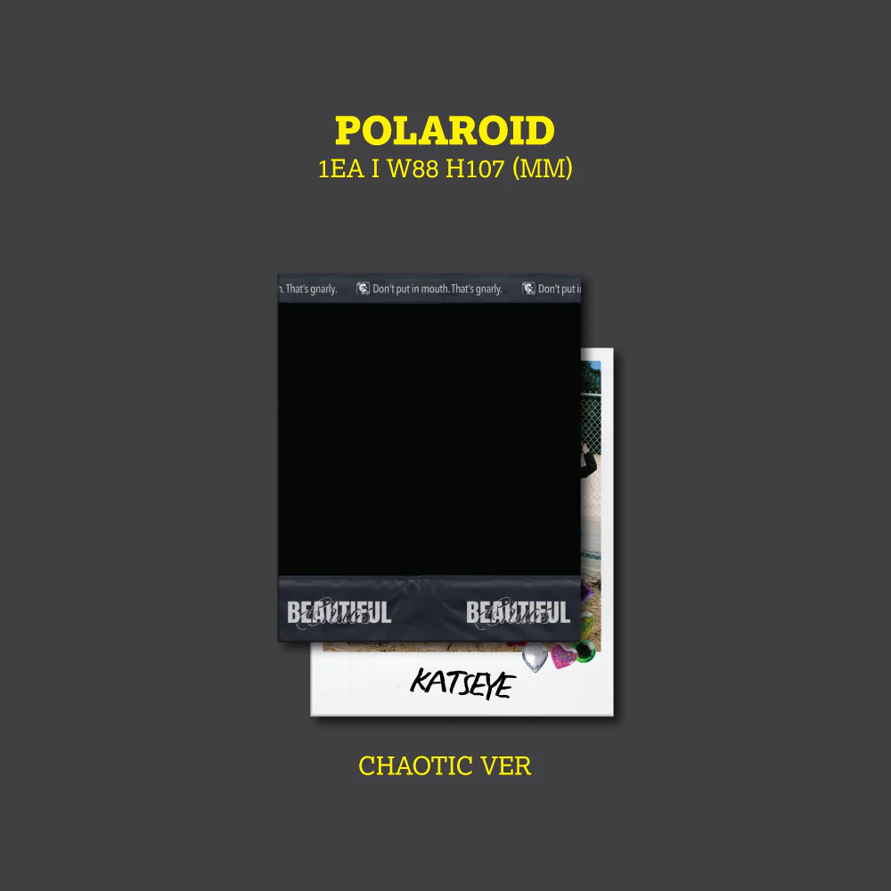 BEAUTIFUL CHAOS (Chaotic Ver.) - Image 6