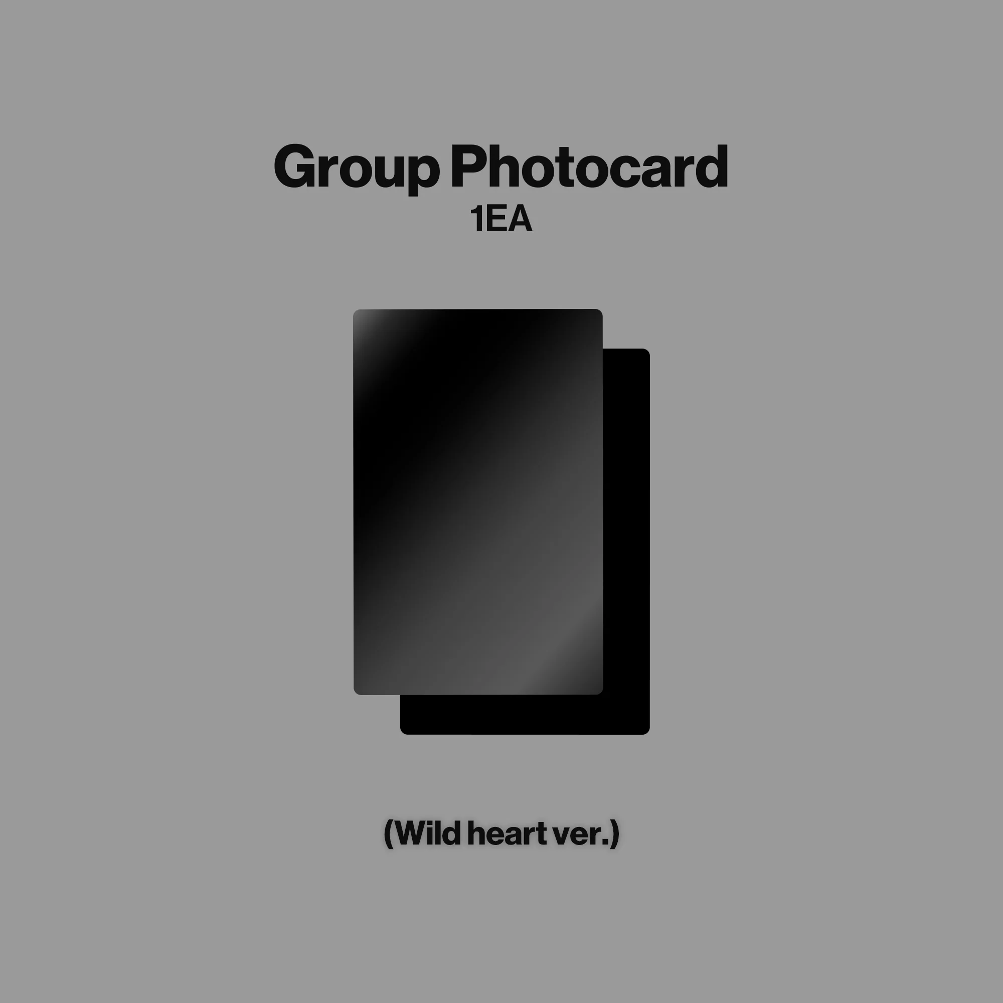 WILD - Wild heart ver. CD - Image 5